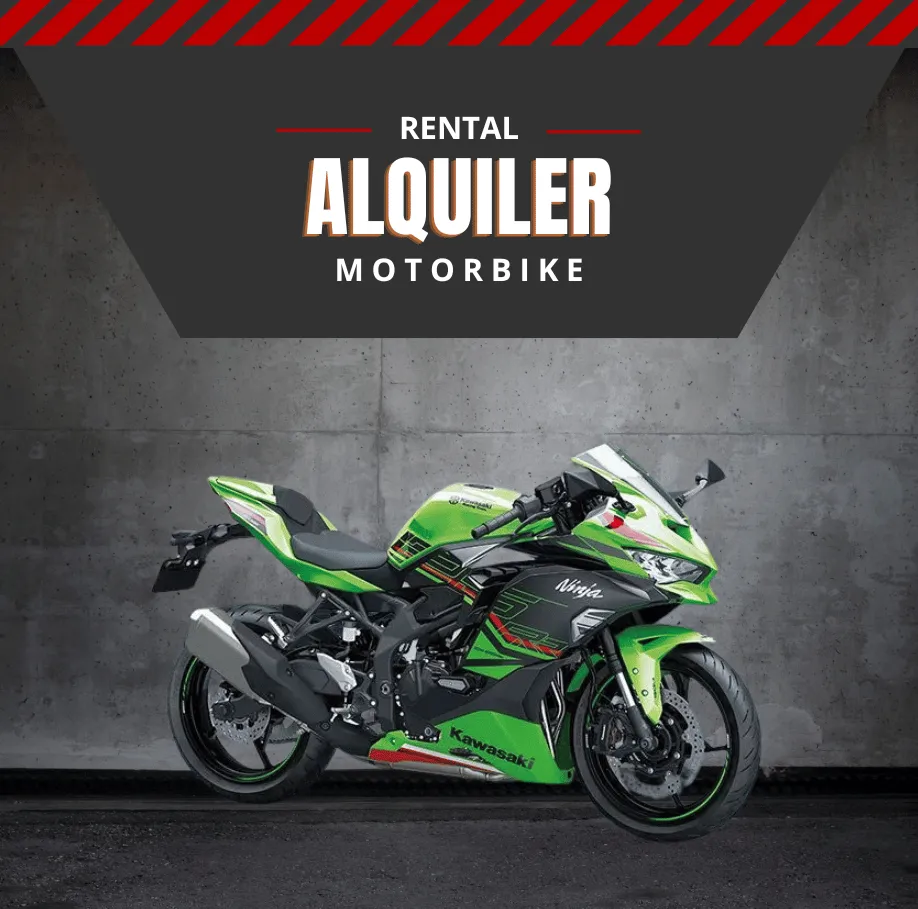 Kawasaki Ninja ZX-25RR